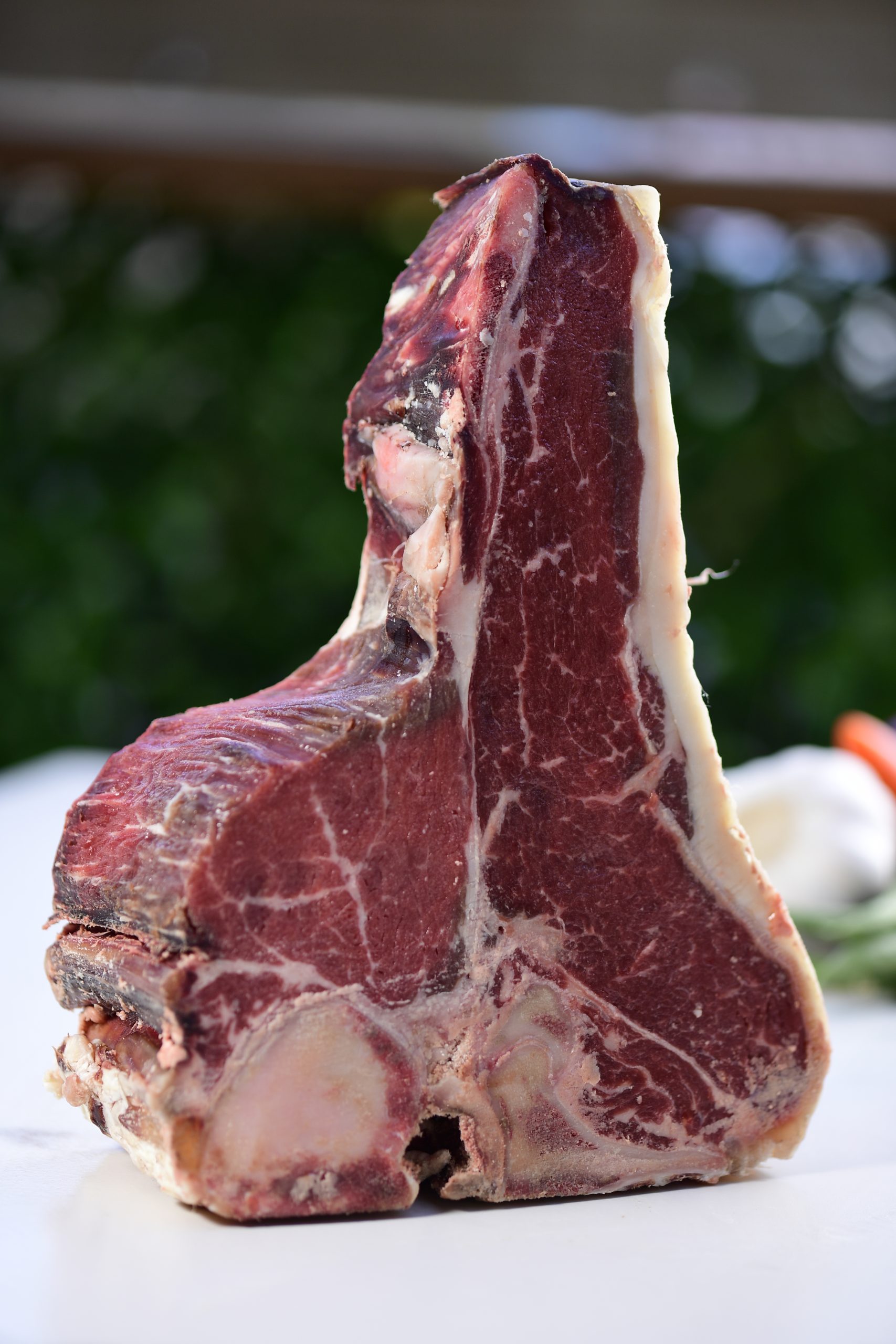 פורטרהאוס פורטר האוס